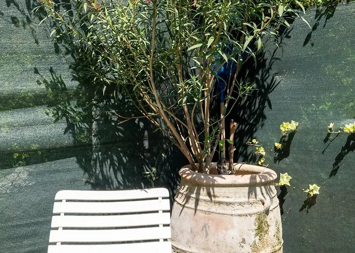 Residenza Gastone Rossi - Gastone Rossi * בולוניה