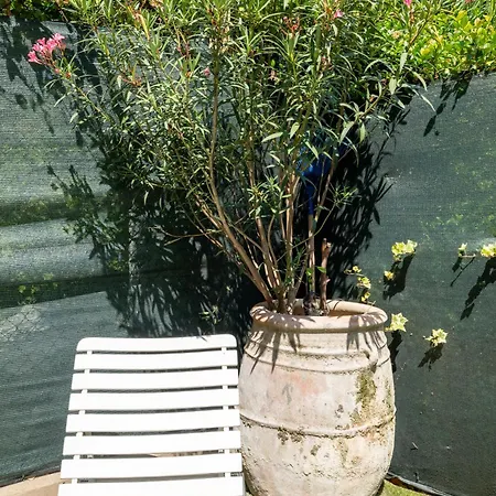 Residenza Gastone Rossi - Gastone Rossi * 볼로냐